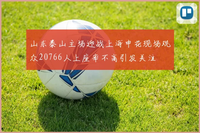 山东泰山主场迎战上海申花现场观众20766人上座率不高引发关注