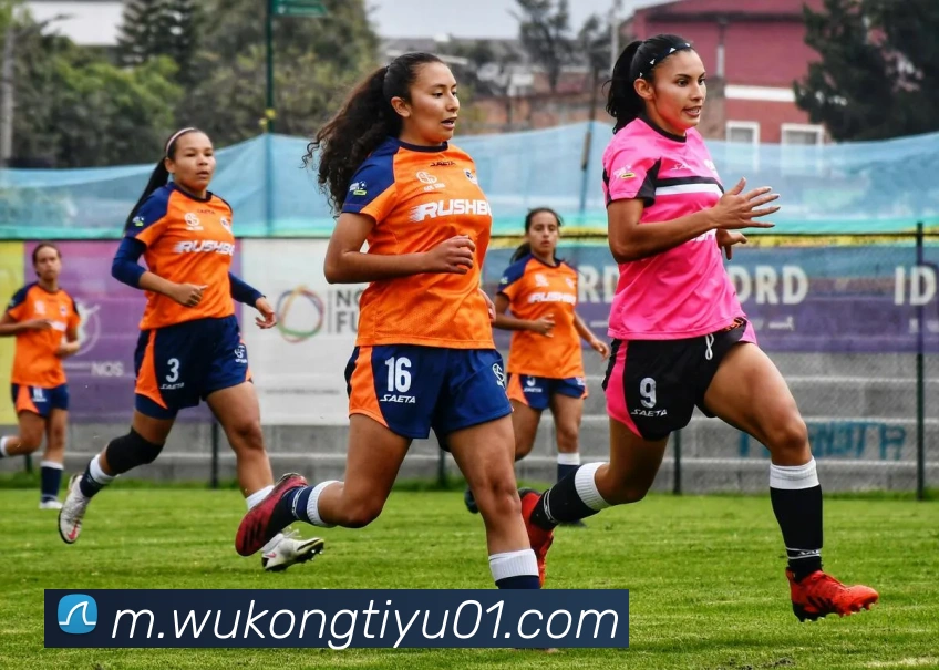 App Interface Preview