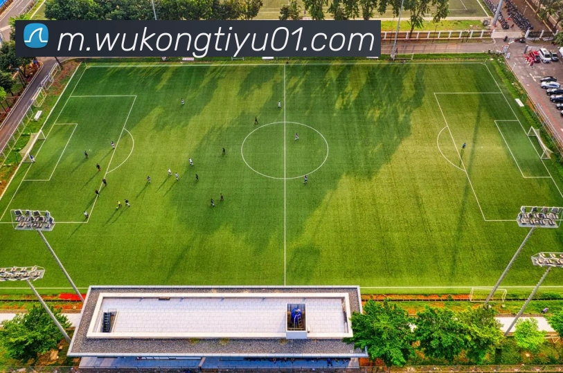 悟空体育APP 封面图